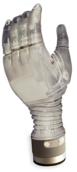 The prosthetic hand.